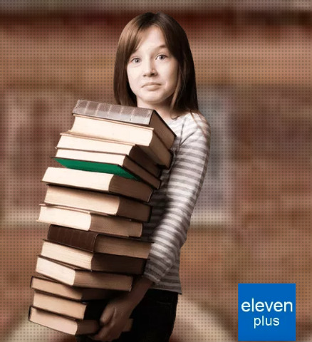 The eleven plus tutors in Essex